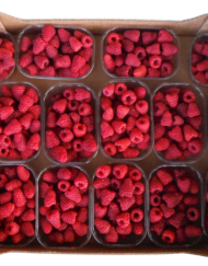 Colis de Framboises